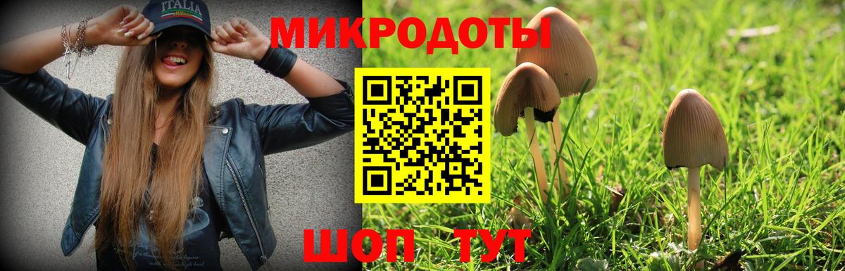 Галлюциногенные грибы Cubensis  Вход с VPN  Муром 